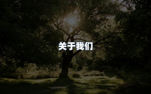 团队合作